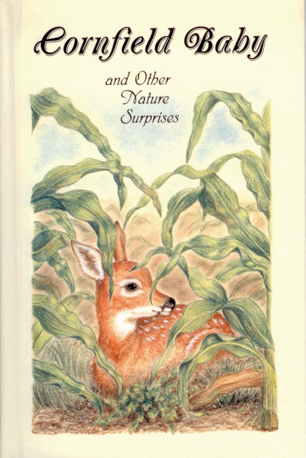 Cornfield Baby and Other Nature Stories