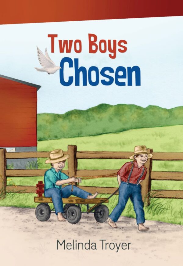 Two Boys Chosen