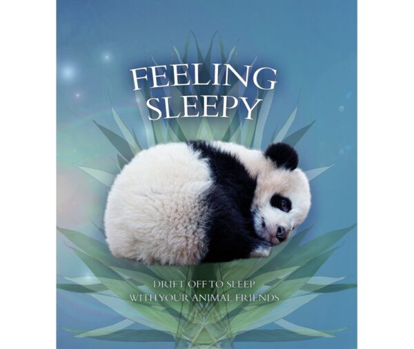 Feeling Sleepy: Drift Off to Sleep with Your Animal Friends