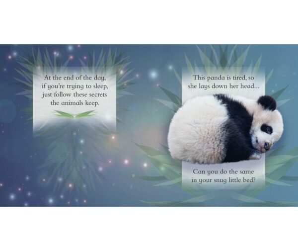 Feeling Sleepy: Drift Off to Sleep with Your Animal Friends - Image 2