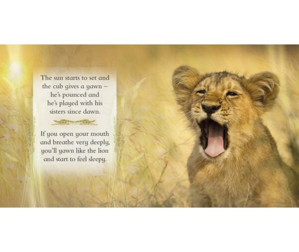 Feeling Sleepy: Drift Off to Sleep with Your Animal Friends - Image 3