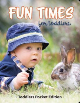 Fun Times for Toddlers - Toddler Pocket Book