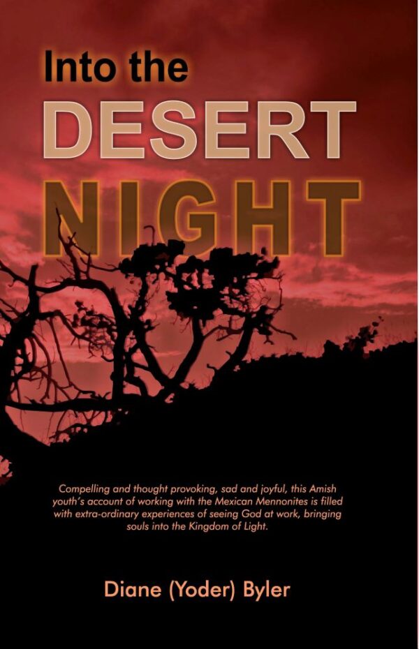 Into the Desert Night