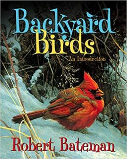 Image of Backyard Birds: An Introduction