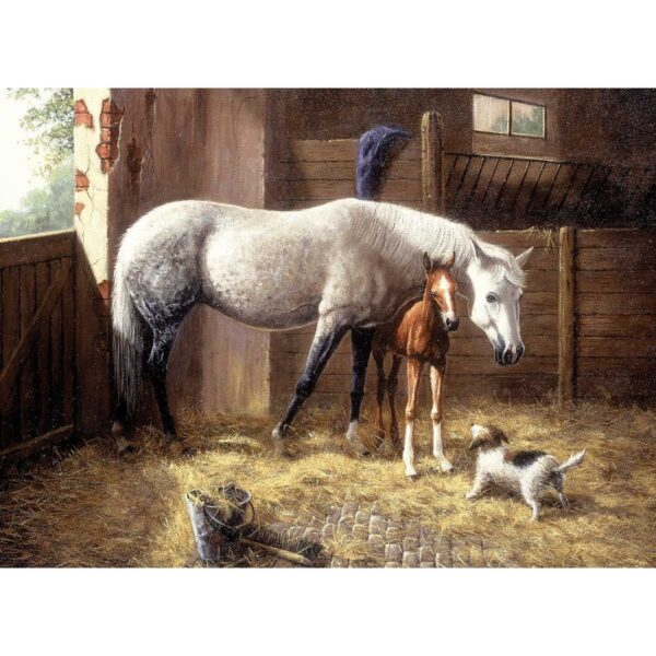 Paint by Number Adult New Friend