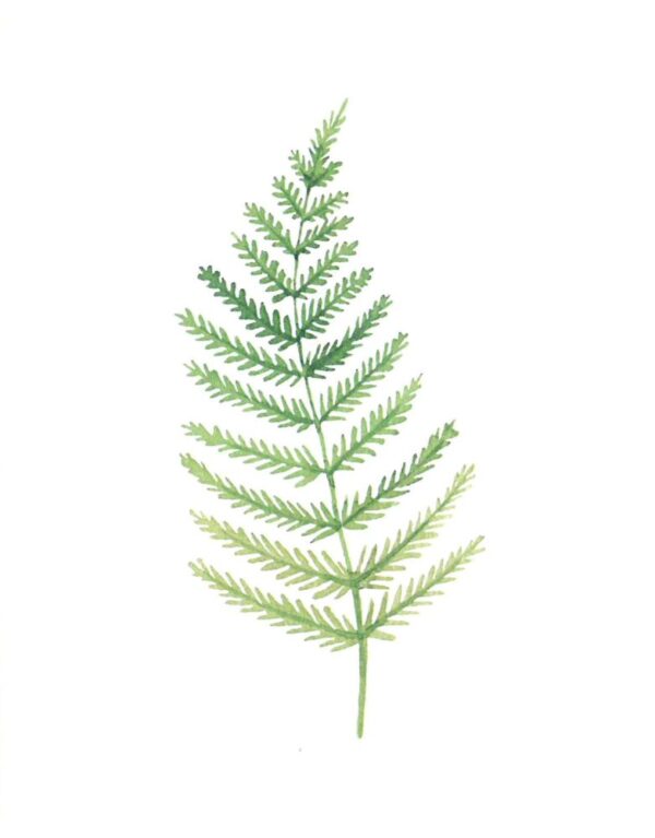 ICare- Leaf Collection Blank Notecards - Image 2