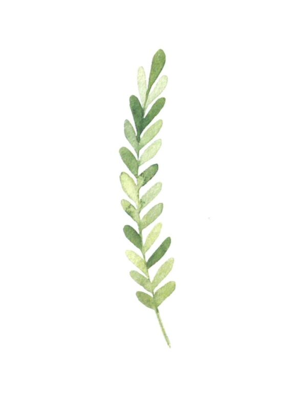ICare- Leaf Collection Blank Notecards - Image 3