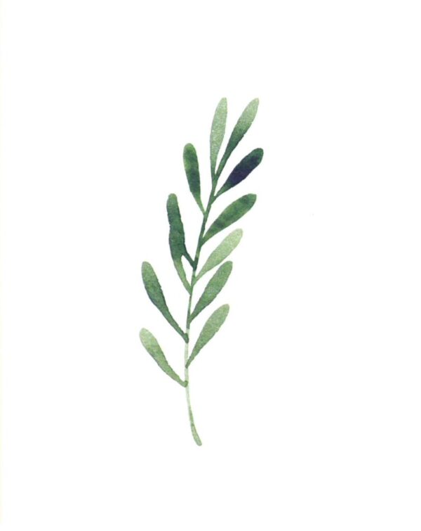ICare- Leaf Collection Blank Notecards - Image 4