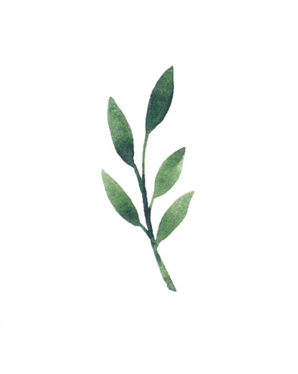 ICare- Leaf Collection Blank Notecards - Image 6
