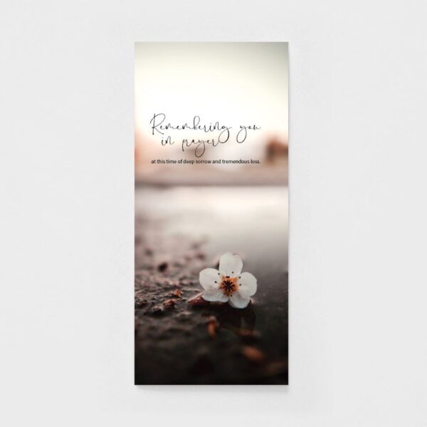 ICare- Sympathy Comforting Card Package - Image 9