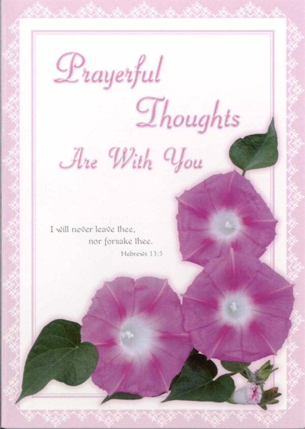 Cards Sympathy Abiding Comfort - Image 5