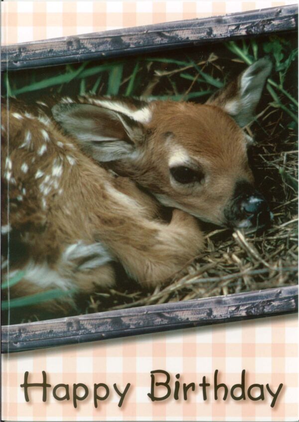 Cards Birthday Baby Animals - Image 2