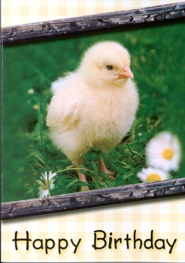 Cards Birthday Baby Animals - Image 3