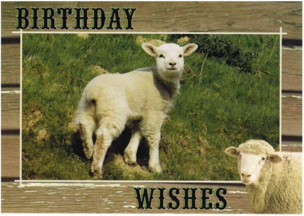 Cards Birthday Children's Barnyard Friends - Image 3