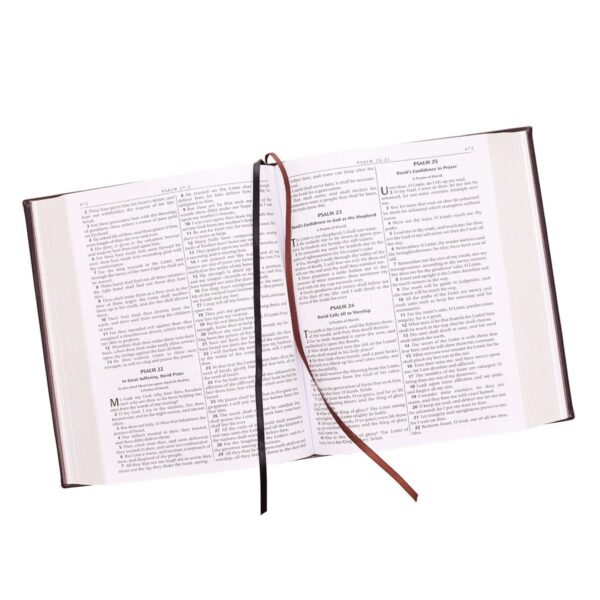 KJV Illustrated Edition Family Bible: Faux Leather Bound - Image 5