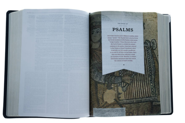 KJV Study Bible, Full-Color, Navy Leathertouch - Image 5