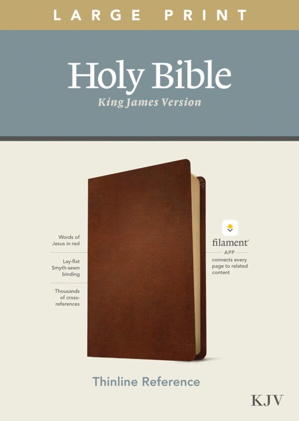 KJV Large Print Thinline Reference Bible, Filament Enabled Edition