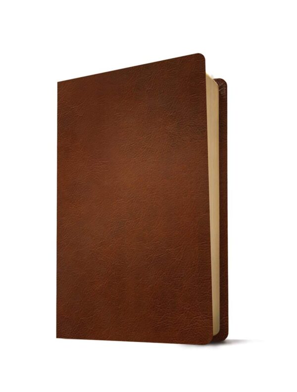 KJV Large Print Thinline Reference Bible, Filament Enabled Edition - Image 2