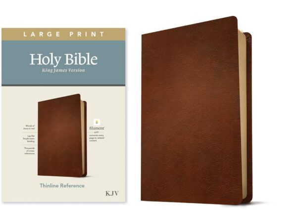 KJV Large Print Thinline Reference Bible, Filament Enabled Edition - Image 3