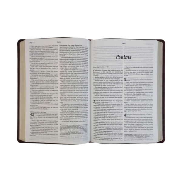 KJV Large Print Thinline Reference Bible, Filament Enabled Edition - Image 4