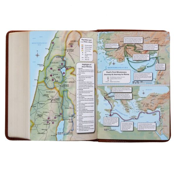 KJV Compact Large Print Lux-Leather Tan - Large Print - Image 5