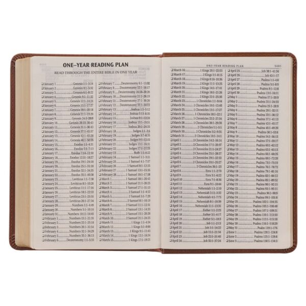 KJV Compact Large Print Lux-Leather Tan - Large Print - Image 8