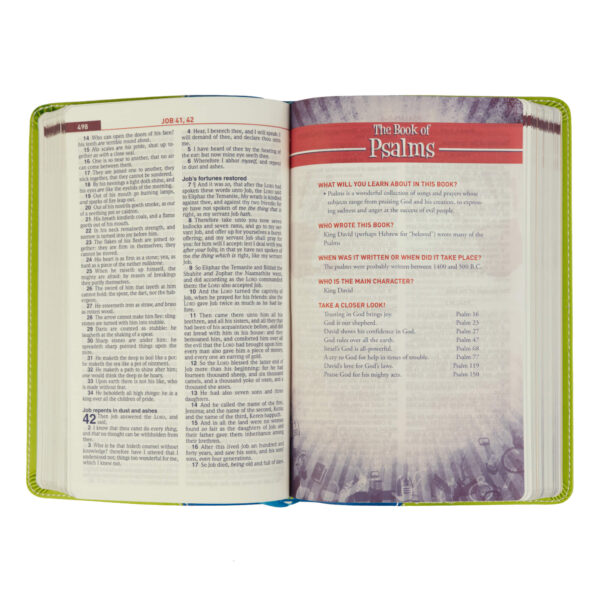 KJV Kids Study Bible Green/Blue Imitation Leather - Image 3