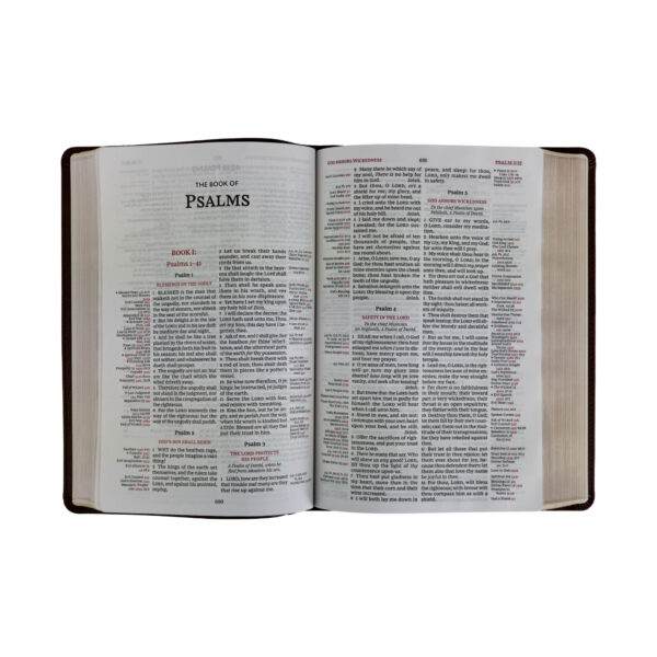 KJV Thompson Chain-Reference Bible - Brown - Image 4
