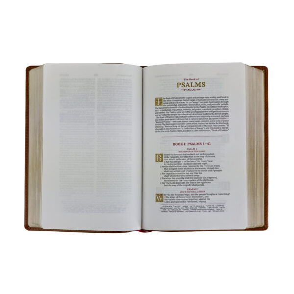 KJV Wide-Margin Reference Bible - Brown - Image 4