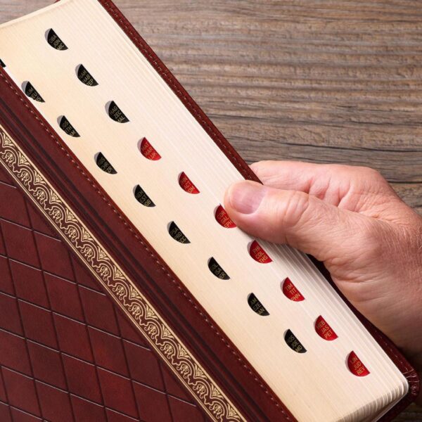 KJV Study Bible, Standard Print Faux Leather - Thumb Index - Image 4