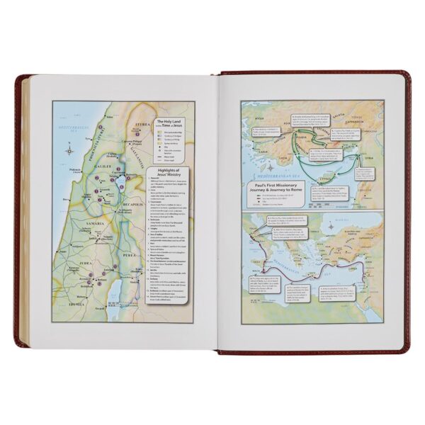 KJV Study Bible, Standard Print Faux Leather - Thumb Index - Image 5
