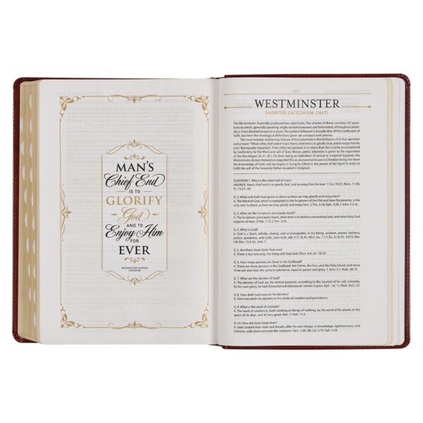 KJV Study Bible, Standard Print Faux Leather - Thumb Index - Image 10