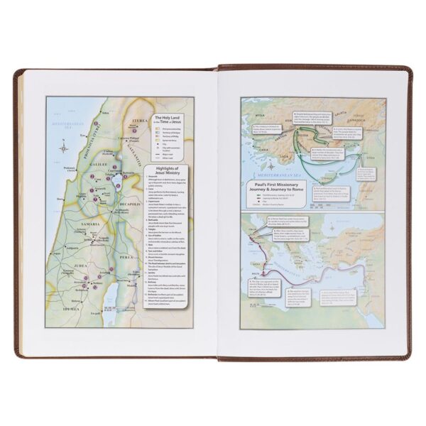 KJV Antiqued Brown Faux Leather Large Print Thinline - Thumb Index - Image 6