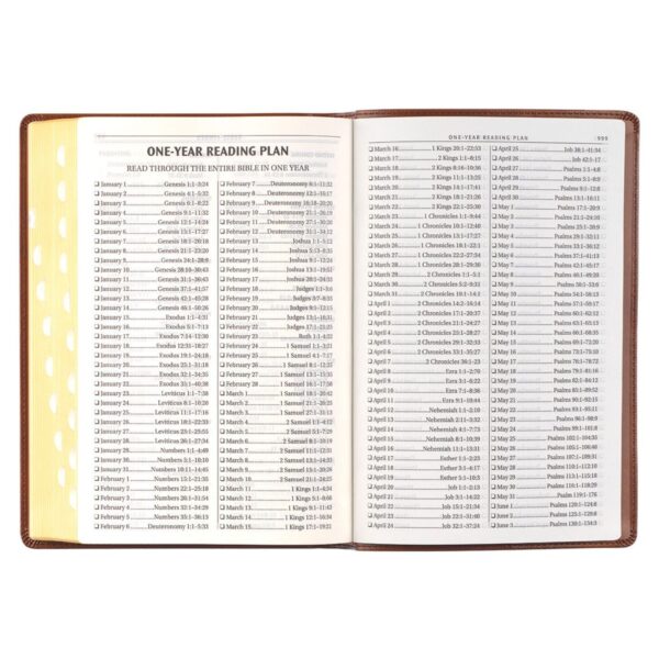 KJV Antiqued Brown Faux Leather Large Print Thinline - Thumb Index - Image 7