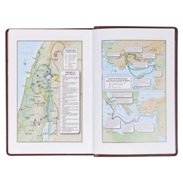 KJV Burgundy Faux Leather Large Print Thinline - Thumb Index - Image 6