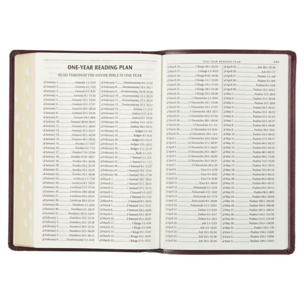 KJV Burgundy Faux Leather Large Print Thinline - Thumb Index - Image 8