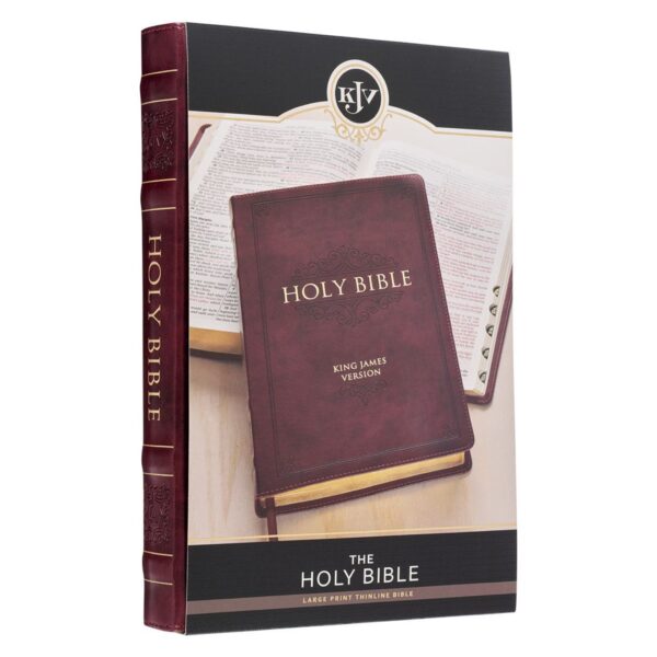 KJV Burgundy Faux Leather Large Print Thinline - Thumb Index - Image 9