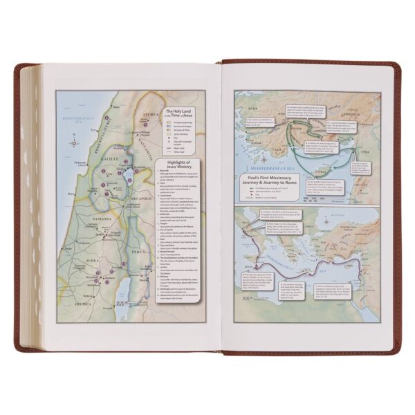 KJV Saddle Tan Faux Leather Giant Print Standard-size - Thumb Index - Image 6