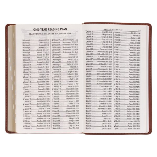 KJV Saddle Tan Faux Leather Giant Print Standard-size - Thumb Index - Image 9