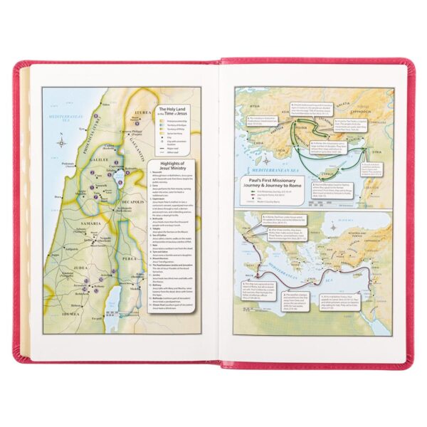 KJV Pink Faux Leather Deluxe Gift Bible - Thumb Index - Image 6
