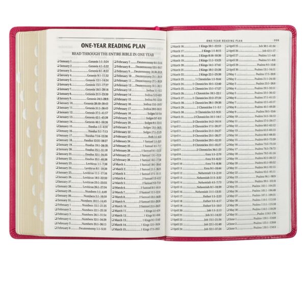 KJV Pink Faux Leather Deluxe Gift Bible - Thumb Index - Image 8