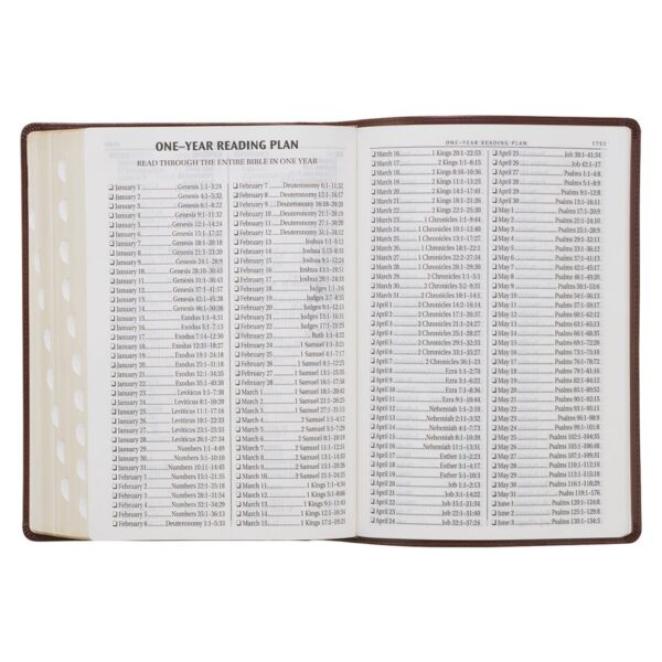 KJV Chestnut Brown Faux Leather Super Giant Print - Thumb Index - Image 9