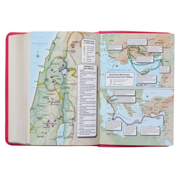 KJV Pink Faux Leather Large Print Compact Bible - Image 5