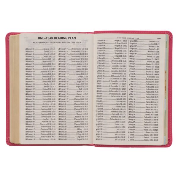 KJV Pink Faux Leather Large Print Compact Bible - Image 7