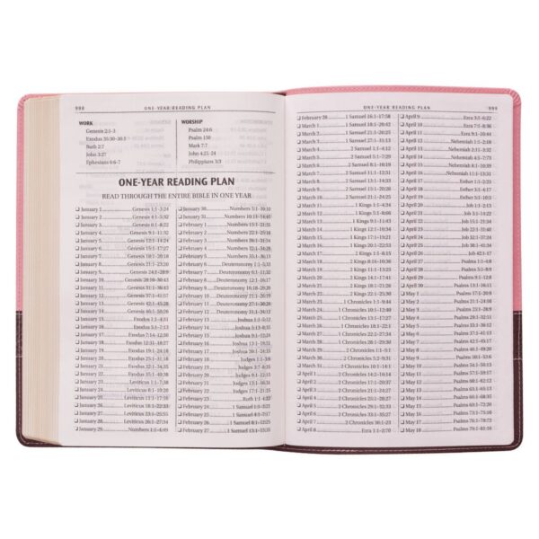 KJV Pink and Brown Large Print Faux Leather Thinline - Image 7