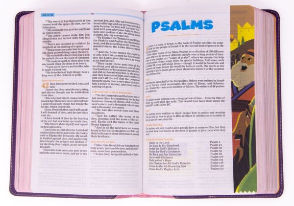 KJV One Big Story Bible, Pink/Purple Leathertouch -One Big Story - Image 2