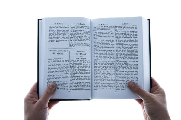 English/German New Testament Large Print 8.5 x 5.5 x 1.5 -Hardcover - Image 2