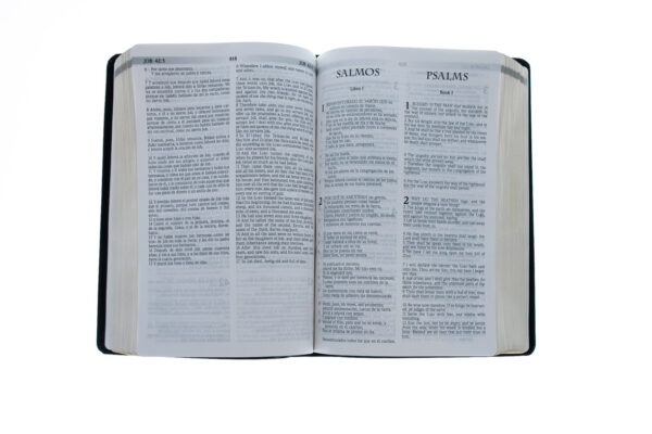 RVR 1960 KJV Santa Biblia -Spanish and English Edition - Image 4
