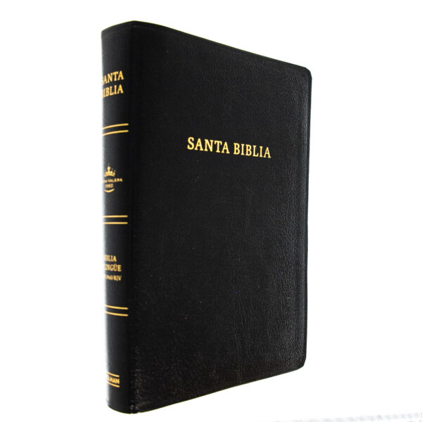 Span-RVR 1960/KJV Bilingual-Black Bonded Leather Indexed - Image 3