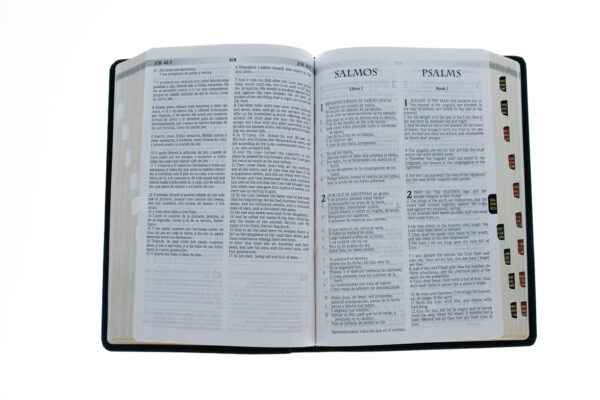 Span-RVR 1960/KJV Bilingual-Black Bonded Leather Indexed - Image 4